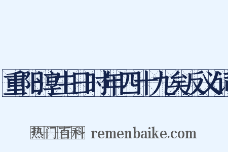 重阳淳生日时年四十九矣反义词是什么意思的图片